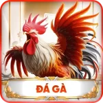 banner-da-ga-kim88